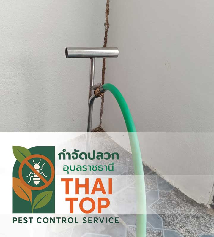 บริการอัดน้ำยากำจัดปลวกลงดิน